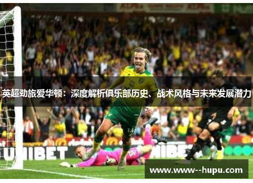 英超劲旅爱华顿:深度解析俱乐部历史、战术风格与未来发展潜力 英超劲旅爱华顿:深度解析俱乐部历史、战术风格与未来发展潜力